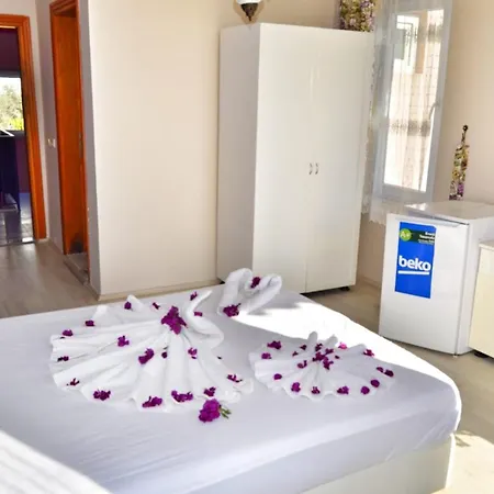 Hotel Alvina Otel Fethiye