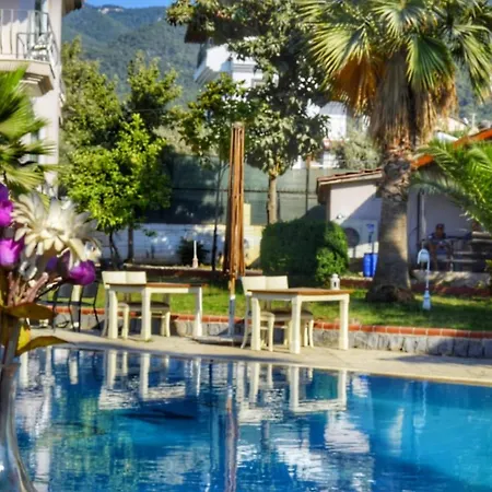Alvina Otel מלון